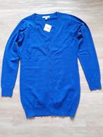 Vest Anni Rolfi maat XL nieuw, Ophalen of Verzenden, Nieuw, Maat 46/48 (XL) of groter, Blauw