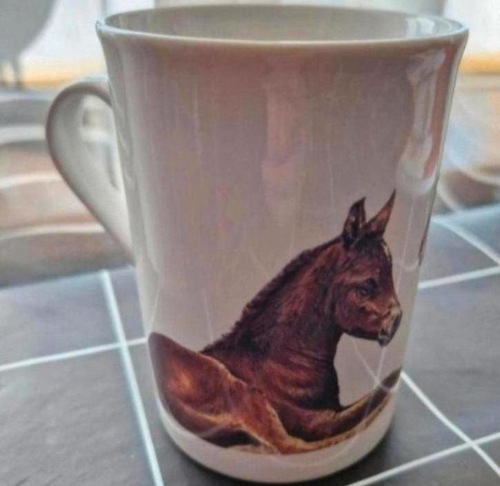 Beker met Paarden afbeeldingen, Huis en Inrichting, Keuken | Servies, Zo goed als nieuw, Kop(pen) en/of Schotel(s), Overige stijlen