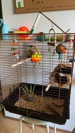 Agapornis, Dieren en Toebehoren, Ophalen, Zo goed als nieuw, Metaal, Vogelkooi