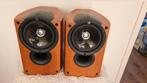 Kegf IQ1 luidsprekers, Audio, Tv en Foto, Luidsprekers, Ophalen of Verzenden, Zo goed als nieuw