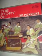 The Picknicks- The Story- 28 Greatest Hits- (NIEUW), Verzenden, 2000 tot heden