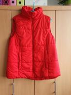 Bodywarmer, Kleding | Dames, Bodywarmers, Maat 46/48 (XL) of groter, Ophalen of Verzenden, Zo goed als nieuw, Ever.me