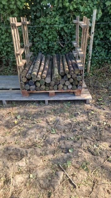 Weide palen 100 stuks.  beschikbaar voor biedingen