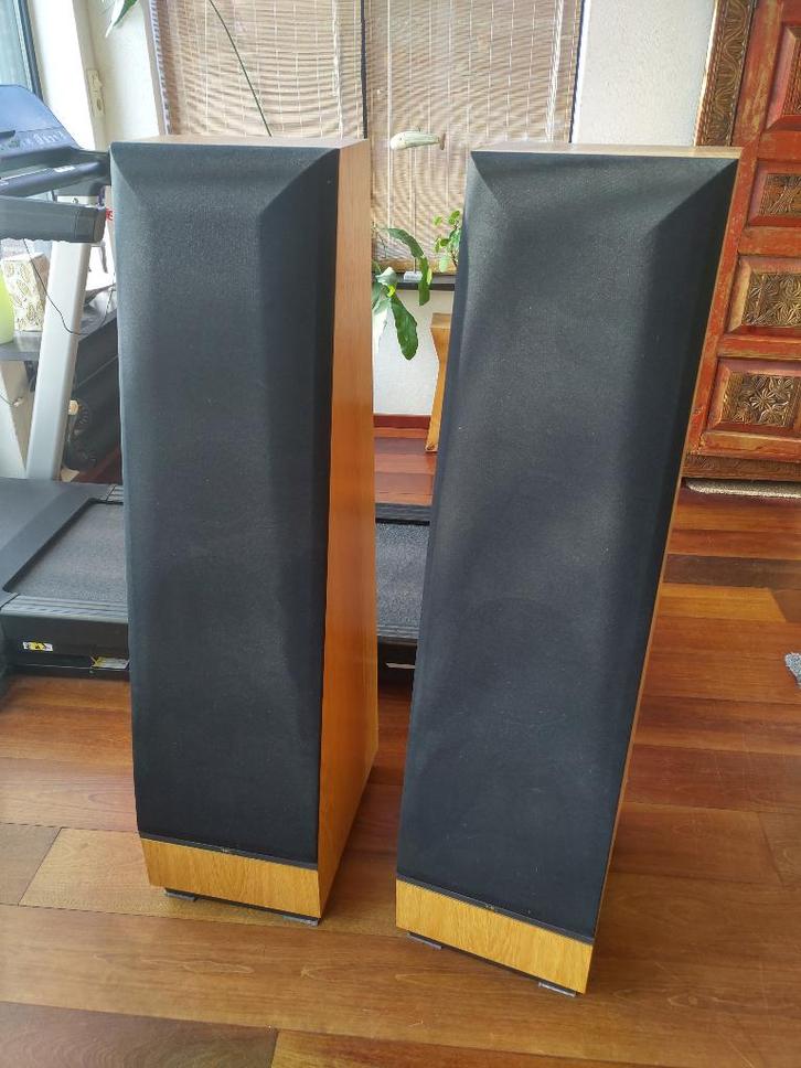 Thiel CS 3.6 luidsprekers, Audio, Tv en Foto, Luidsprekers, Gebruikt, Front, Rear of Stereo speakers, 60 tot 120 watt, Overige merken