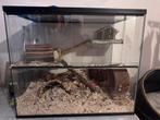 Hamster/rat/reptielen hok, Dieren en Toebehoren, Gebruikt, Hok, Ophalen, Minder dan 60 cm