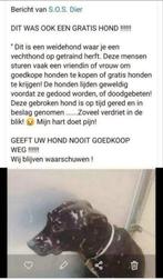 Help! Oproep aan dierenvrienden!, Dieren en Toebehoren, Hondenbenches, Ophalen of Verzenden, Nieuw