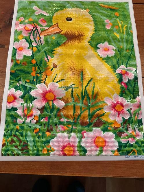 Gevraagd/gezocht diamond painting, Hobby en Vrije tijd, Knutselen, Zo goed als nieuw, Knutselwerk, Ophalen of Verzenden