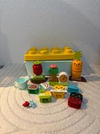 Duplo Bio Tuintje 10984, Ophalen, Zo goed als nieuw, Complete set, Duplo