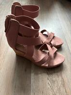 Sleehak maat 38 als niew oudroze, Ophalen, Zo goed als nieuw, Roze