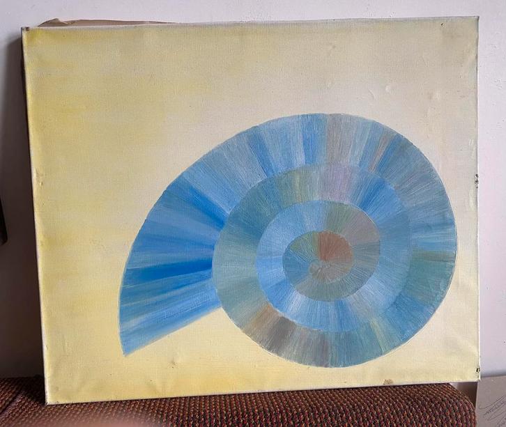 Schilderij van een nautilus schelp, Antiek en Kunst, Kunst | Schilderijen | Modern, Ophalen of Verzenden