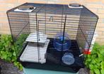 Hamsterkooi 41,5 cm x 29 cm, Kooi, Minder dan 75 cm, Zo goed als nieuw, Hamster