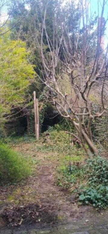 Tuin opruiming  beschikbaar voor biedingen