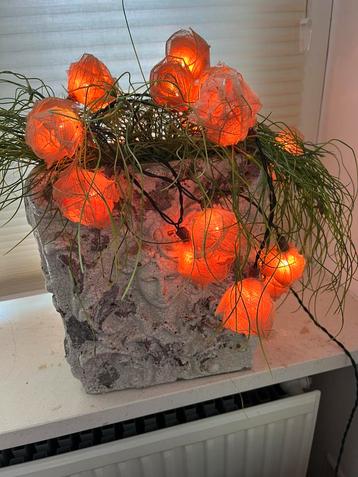 PRACHTIGE VAAS MET VERLICHTING beschikbaar voor biedingen