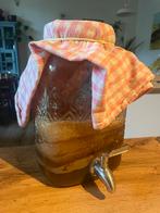 Gezonde kombucha scoby(s)!, Ophalen