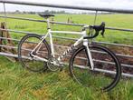 Isaac Graviton 55 cm Campagnolo, Fietsen en Brommers, Fietsen | Racefietsen, Heren, Aluminium, Zo goed als nieuw, 53 tot 57 cm