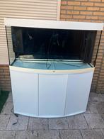 Witte Juwel aquarium, Dieren en Toebehoren, Vissen | Aquaria en Toebehoren, Ophalen, Gebruikt, Leeg aquarium