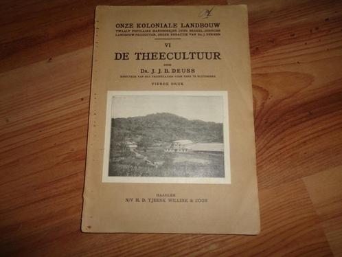1930 De theecultuur Tjeenk Willink & Z. Indie thee, Antiek en Kunst, Antiek | Boeken en Bijbels, Verzenden