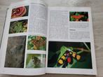 Vlinder encyclopedie Wybren Landsman, Verzenden, Zo goed als nieuw