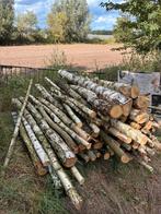 Berkenhout stammen, Tuin en Terras, Minder dan 3 m³, Ophalen, Berkenhout, Stammen