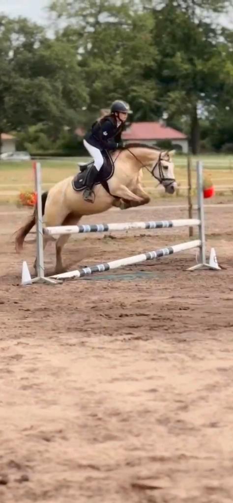 Lease/bijrijd pony gezocht!, Dieren en Toebehoren, Paarden en Pony's | Verzorgingsproducten, Ophalen of Verzenden