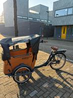 Babboe Curve-E Bakfiets (2022) - Elektrisch 500wh, 4 kinderen of meer, Gebruikt, Elektrisch, Ophalen