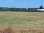 Gezocht: Grasland/Weide huur/koop, Dieren en Toebehoren, Stalling en Weidegang