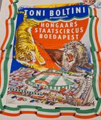 Oude poster circus Toni Boltini, Verzamelen, Posters, Ophalen of Verzenden, A1 t/m A3, Zo goed als nieuw, Rechthoekig Staand