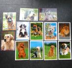Honden fotokaarten hondenkaarten ansichtkaarten hond 12x, Verzamelen, Ansichtkaarten | Dieren, Ophalen of Verzenden, 1980 tot heden