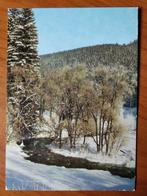 Ansichtkaart Duitsland DDR Snow photo Reichenbach 1691, Ophalen of Verzenden, Duitsland