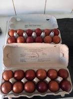 Broedeieren marans, Geslacht onbekend
