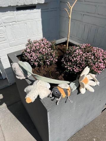 Little Dutch wagenspanner, Boxlint, buggylint, beschikbaar voor biedingen