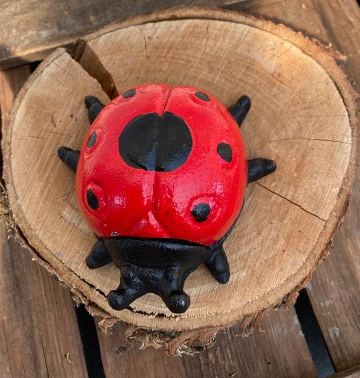 GIETIJZEREN LIEVEHEERSBEESTJE GEKLEURD MET LOSSE DEKSELTJE, Tuin en Terras, Tuinbeelden, Nieuw, Dierenbeeld, Metaal, Ophalen of Verzenden