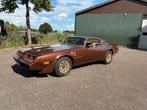 Pontiac Trans Am 6.6 V8 1979 Bruin, Auto's, Automaat, Bruin, Bedrijf, 6514 cc