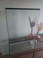 Terrarium, Dieren en Toebehoren, Ophalen of Verzenden