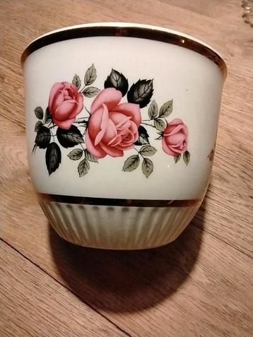 Petrus Ragout beschikbaar voor biedingen