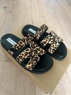 Nieuwe Steve Madden slippers, maat 36, Kleding | Dames, Schoenen, Ophalen of Verzenden, Nieuw, Bruin, Slippers