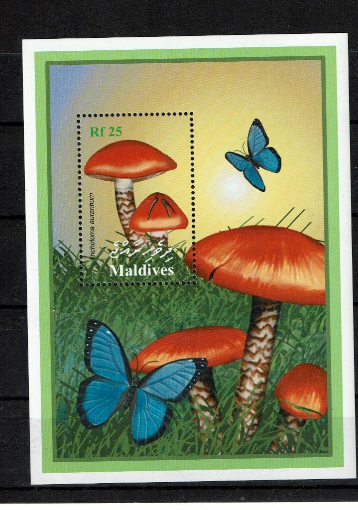 MALDIVES 2001 PF BLOK PADDENSTOELEN VLINDERS MUSHROOMS, Postzegels en Munten, Postzegels | Thematische zegels, Postfris, Dier of Natuur