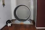 loop rad voor katten, Dieren en Toebehoren, Kattenspeelgoed, Ophalen, Zo goed als nieuw, Overig speelgoed