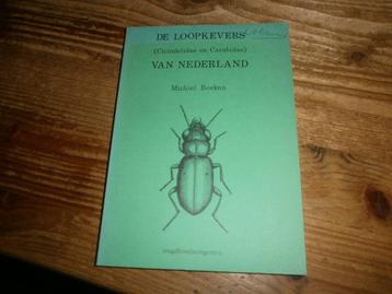 de loopkevers van nederland cicindelidae en carabidae beschikbaar voor biedingen