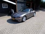 BMW Z4 2.0 I Roadster 2005 Grijs (Orig.NL Auto), 13 km/l, 1995 cc, Beige, 4 cilinders