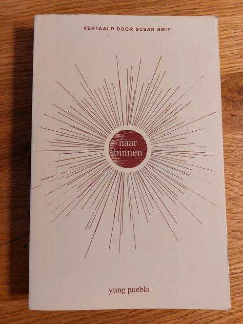 Yung Pueblo - Naar binnen, Boeken, Esoterie en Spiritualiteit, Gelezen, Spiritualiteit algemeen, Ophalen of Verzenden