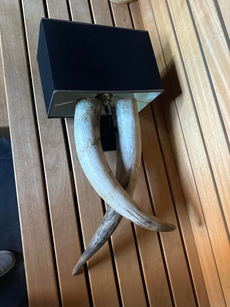 Landelijk Wandlamp met Hoorns 2 stuks, Huis en Inrichting, Lampen | Wandlampen, Ophalen, Gebruikt, Metaal