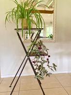 Vintage plantentafel bijzettafel projectortafel diatafel, Ophalen, Volle zon, 100 tot 150 cm