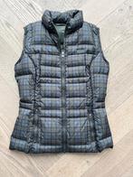 NIEUW napapijri bodywarmer groen geruit maat xs, NAPAPIJRI, Nieuw, Ophalen of Verzenden, Maat 34 (XS) of kleiner