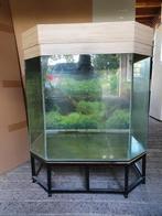 Aquarium (Panorama), Dieren en Toebehoren, Vissen | Aquaria en Toebehoren, Ophalen, Gebruikt, Leeg aquarium