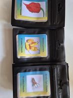 Peperzaden, Tuin en Terras, Bloembollen en Zaden, Ophalen of Verzenden, Voorjaar, Volle zon, Zaad