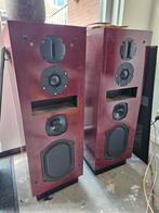 Roger monitor 5.0 labyrint speakers, Ophalen, Gebruikt, Front, Rear of Stereo speakers, Overige merken