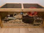 Hamster kooi, Dieren en Toebehoren, Ophalen, Kooi, Minder dan 75 cm, 90 cm of meer