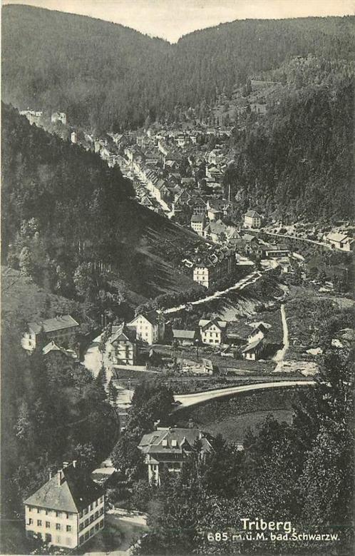 (381-339-031) Triberg, Verzamelen, Ansichtkaarten | Buitenland, Duitsland, Verzenden