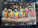 Papegaai puzzel, Ophalen of Verzenden, 500 t/m 1500 stukjes, Zo goed als nieuw, Legpuzzel